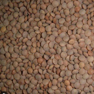 Black Masoor Dal/Whole Masoor (500g)